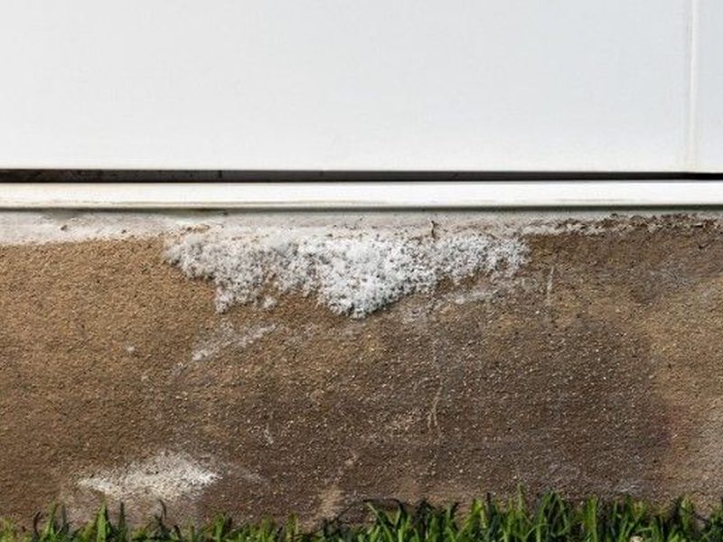 Zócalo de pared con eflorescencias blancas de salitre